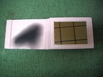 DSCF5383.JPG