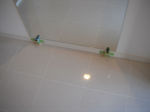 DSCF8323.JPG