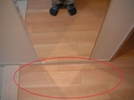 DSCF8395.JPG