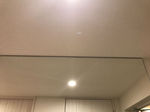 IMG_1865.jpg