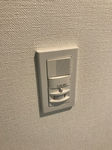 IMG_2020.jpg