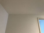 IMG_2863.jpg