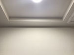 IMG_2960.jpg