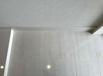 IMG_5589.jpg
