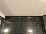 IMG_9952.jpg